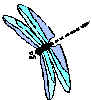 Dragnfly.jpg (2814 bytes)