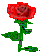 flower.jpg (1949 bytes)