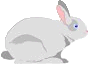 rabbit.gif (2029 bytes)