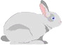 rabbit.jpg (2029 bytes)