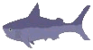 shark.gif (2476 bytes)
