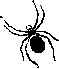 spider.jpg (1597 bytes)