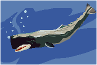 Whales