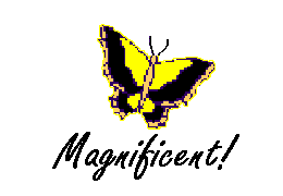 Congratulations Graphic